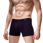 bokserki-authentic-perfect-mini