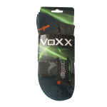 walli-voxx.jpg